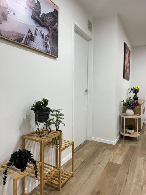 Stunning 3 Bd - 2 Bth City Apt - Pool & Carpark 오클랜드 외부 사진