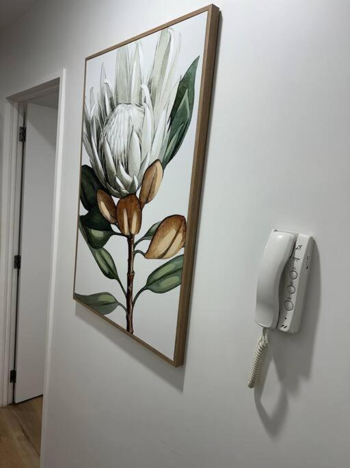 Stunning 3 Bd - 2 Bth City Apt - Pool & Carpark 오클랜드 외부 사진